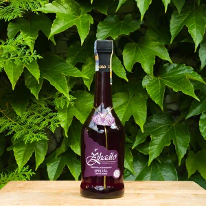 Medový likér Žihadlo 40% Černý rybíz 0,5 L